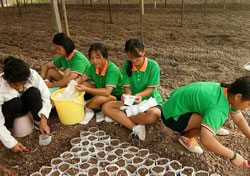 杭州特训学校女生班到劳动基地种菜